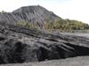 Coal Refuse Pile at Nemacolin, Greene Co., PA